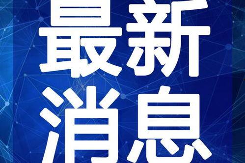 龙眼观察爆料视频大全最新,揭秘最新爆料视频大全精彩瞬间